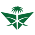 Saudia Airlines logo